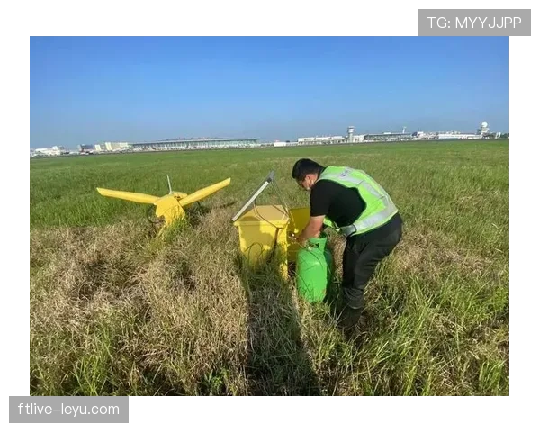 智利队国际赛场强势复苏，状态回暖引发广泛关注