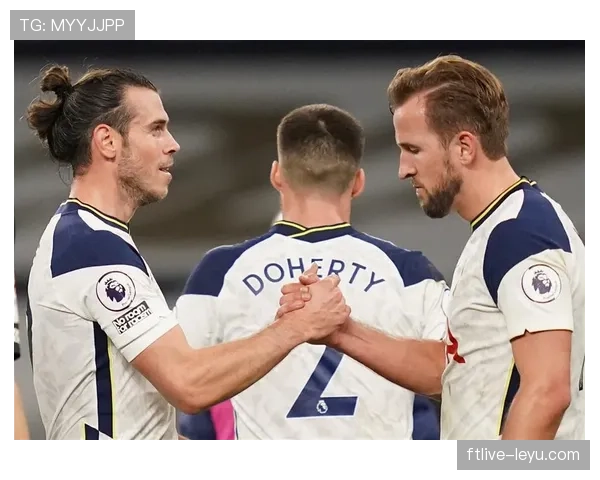 英超布莱顿热刺