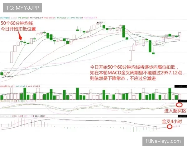 申花进攻过度依赖单核，选择匮乏问题逐步反映在比赛走势中